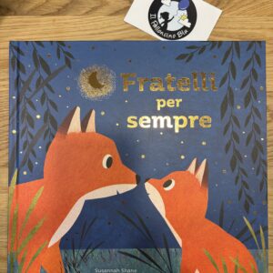 Fratelli per sempre - Sassi